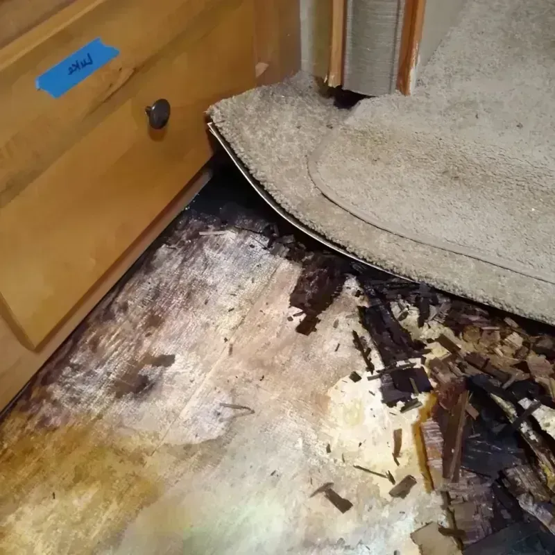 Wood Floor Water Damage in Tracy City, TN